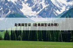 赴美国签证（赴美国签证办理）