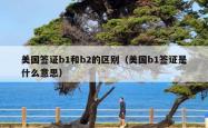 美国签证b1和b2的区别（美国b1签证是什么意思）