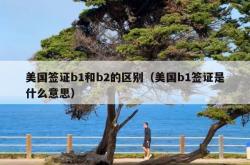 美国签证b1和b2的区别（美国b1签证是什么意思）