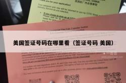 美国签证号码在哪里看（签证号码 美国）