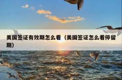 美国签证有效期怎么看（美国签证怎么看停留期）