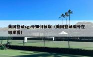 美国签证cgi号如何获取（美国签证编号在哪里看）