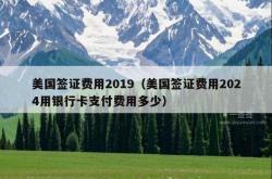 美国签证费用2019（美国签证费用2024用银行卡支付费用多少）