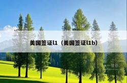美国签证l1（美国签证l1b）