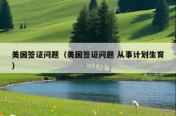 美国签证问题（美国签证问题 从事计划生育）