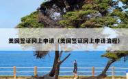 美国签证网上申请（美国签证网上申请流程）