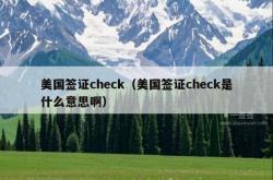 美国签证check（美国签证check是什么意思啊）