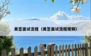 美签面试流程（美签面试流程视频）