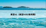 美签b1（美签b1b2有效期）