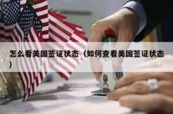 怎么看美国签证状态（如何查看美国签证状态）