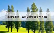 西班牙美签（西班牙美签刷号怎么刷）