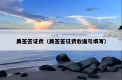 美签签证费（美签签证费收据号填写）