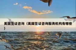 美国签证咨询（美国签证咨询服务机构有哪些）
