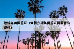 怎样办美国签证（如何办理美国签证需要什么条件）