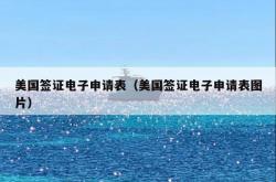 美国签证电子申请表（美国签证电子申请表图片）