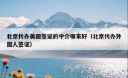 北京代办美国签证的中介哪家好(北京代办外国人签证)