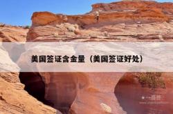 美国签证含金量（美国签证好处）