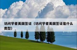 访问学者美国签证（访问学者美国签证是什么类型）