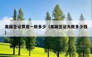 美国签证费用一般多少(美国签证大概多少钱)