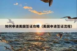 如何申请美国签证攻略（美国申请签证流程）