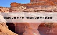美国签证费怎么交（美国签证费怎么交税的）