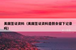 美国签证资料（美国签证资料造假会留下记录吗）