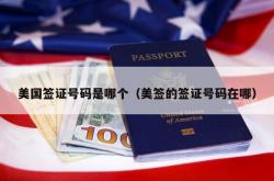 美国签证号码是哪个（美签的签证号码在哪）
