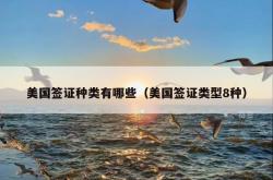 美国签证种类有哪些（美国签证类型8种）