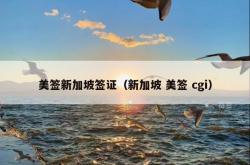 美签新加坡签证（新加坡 美签 cgi）