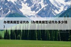 办理美国签证代办（办理美国签证代办多少钱）
