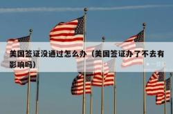 美国签证没通过怎么办（美国签证办了不去有影响吗）