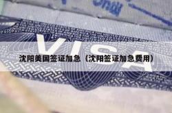 沈阳美国签证加急（沈阳签证加急费用）