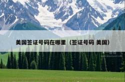 美国签证号码在哪里（签证号码 美国）