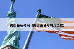 美国签证号码（美国签证号码几位数）