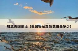 加急美国签证（美国签证加急费用是多少）