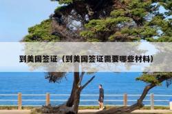到美国签证（到美国签证需要哪些材料）