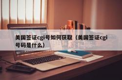 美国签证cgi号如何获取（美国签证cgi号码是什么）