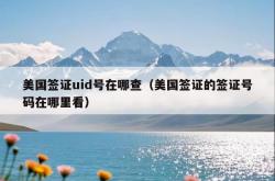 美国签证uid号在哪查（美国签证的签证号码在哪里看）