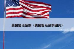 美国签证范例（美国签证范例图片）