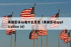 美国签证ap是什么意思（美国签证application id）