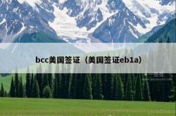 bcc美国签证（美国签证eb1a）