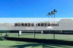 因公美国签证（美国签证chin）