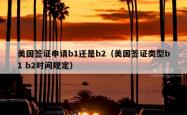 美国签证申请b1还是b2（美国签证类型b1 b2时间规定）