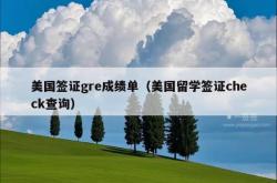 美国签证gre成绩单（美国留学签证check查询）