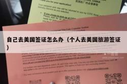 自己去美国签证怎么办（个人去美国旅游签证）