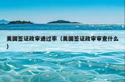 美国签证政审通过率（美国签证政审审查什么）