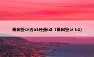美国签证选b1还是b2（美国签证 b1）
