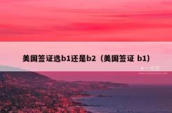 美国签证选b1还是b2（美国签证 b1）