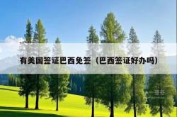 有美国签证巴西免签（巴西签证好办吗）