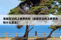 美国签证网上缴费失败（美国签证网上缴费失败什么意思）